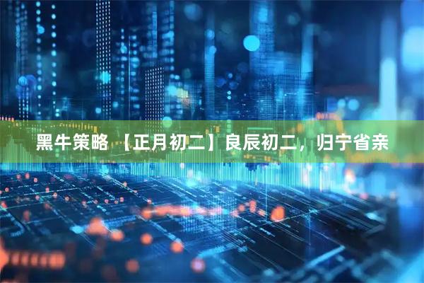 黑牛策略 【正月初二】良辰初二，归宁省亲