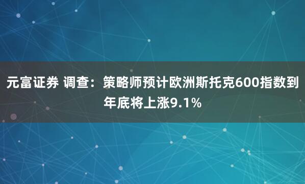 元富证券 调查：策略师预计欧洲斯托克600指数到年底将上涨9.1%