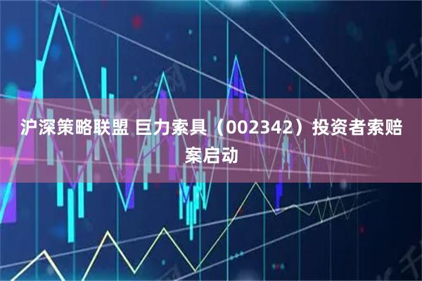 沪深策略联盟 巨力索具（002342）投资者索赔案启动