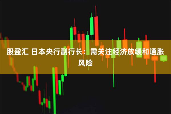 股盈汇 日本央行副行长：需关注经济放缓和通胀风险