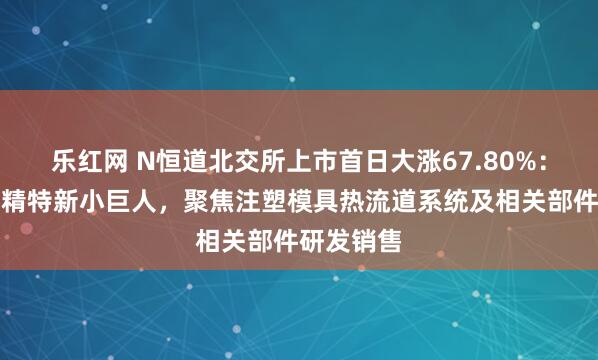 乐红网 N恒道北交所上市首日大涨67.80%：国家级专精特新小巨人，聚焦注塑模具热流道系统及相关部件研发销售