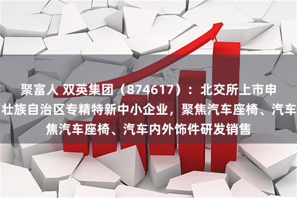 聚富人 双英集团（874617）：北交所上市申请成功过会，广西壮族自治区专精特新中小企业，聚焦汽车座椅、汽车内外饰件研发销售